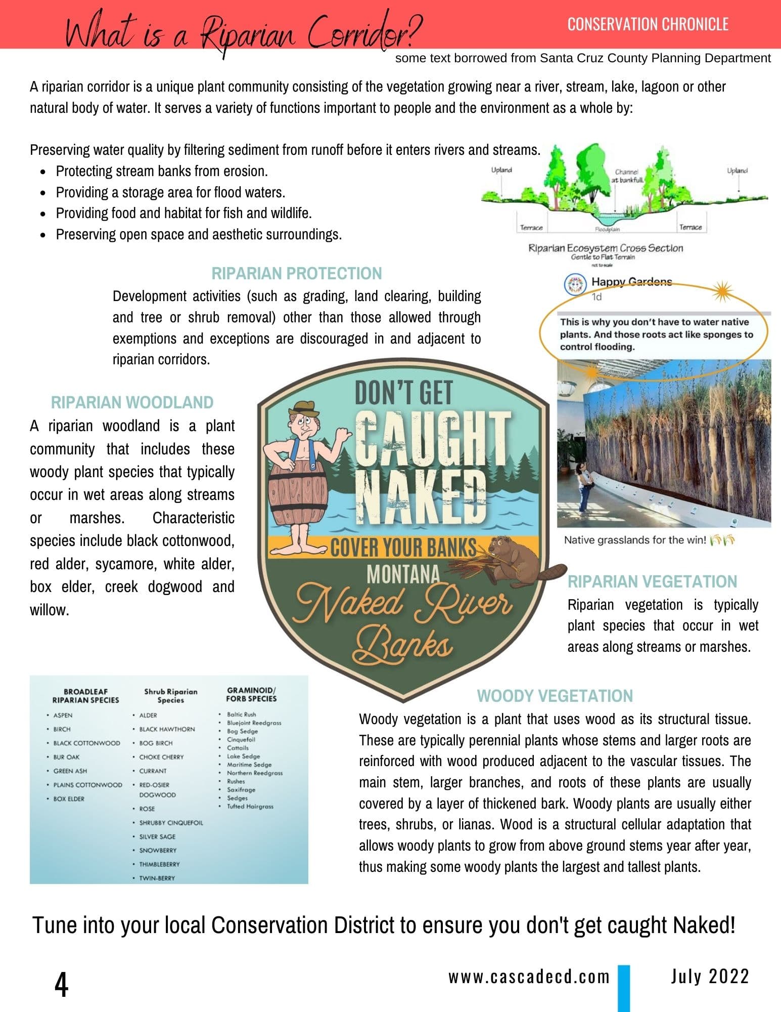 Conservation Chronical - July 2022 - Page Four