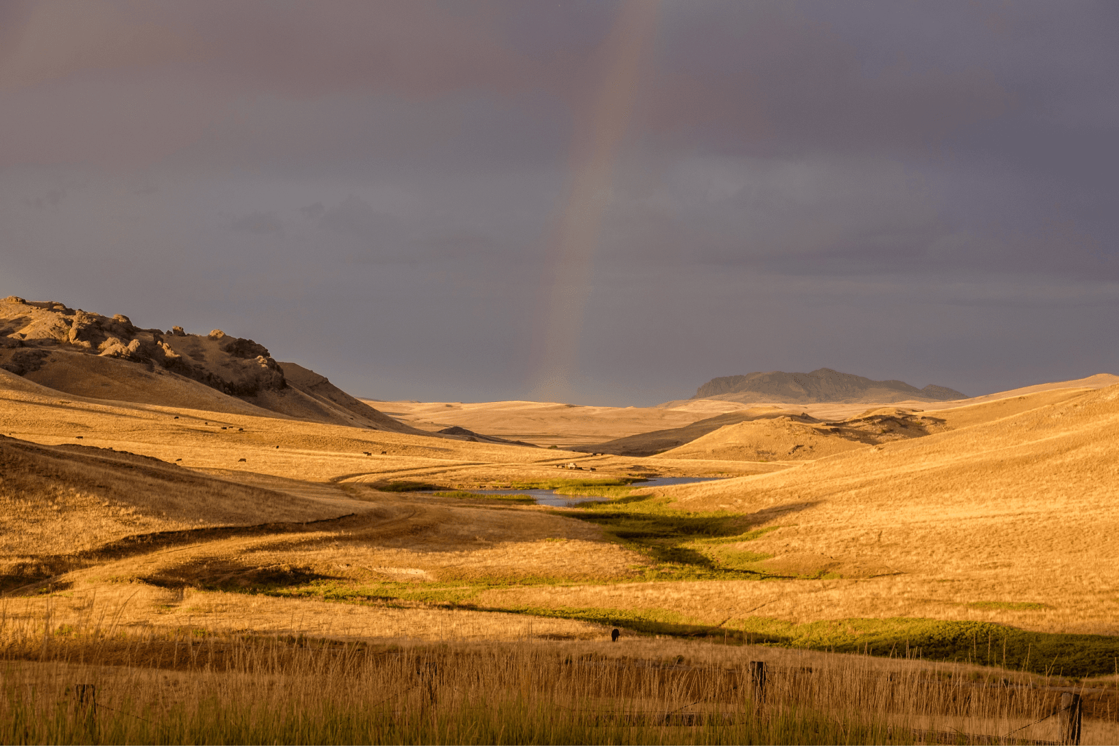 Photo of Cascade County Plains